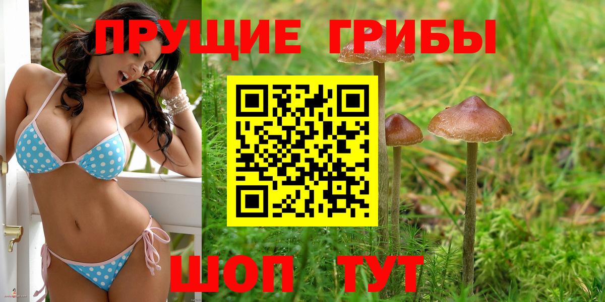 Галлюциногенные грибы Psilocybine cubensis Лыткарино